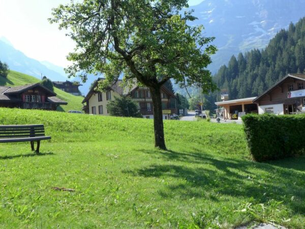 4 persoons Appartement Chalet Schwendihus vanaf €104.83 - Image 8